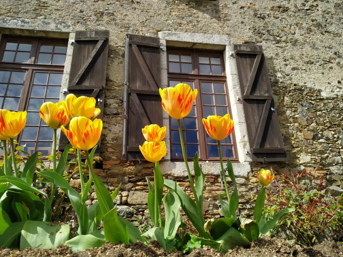Chambre D'Hote Manoir De La Baudonniere Monsireigne 외부 사진